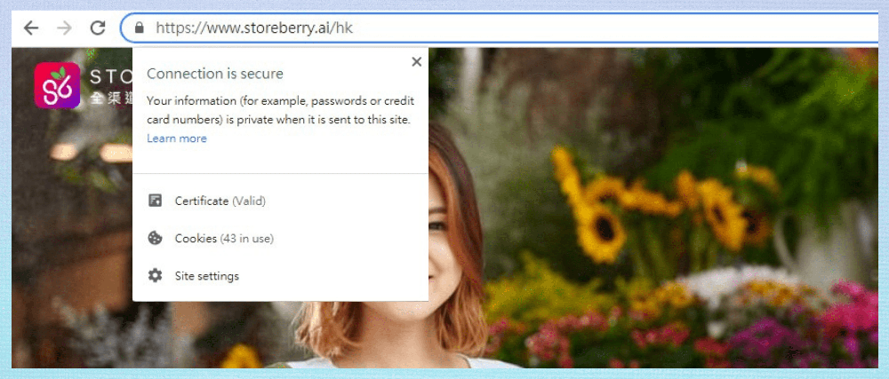 HTTPS
